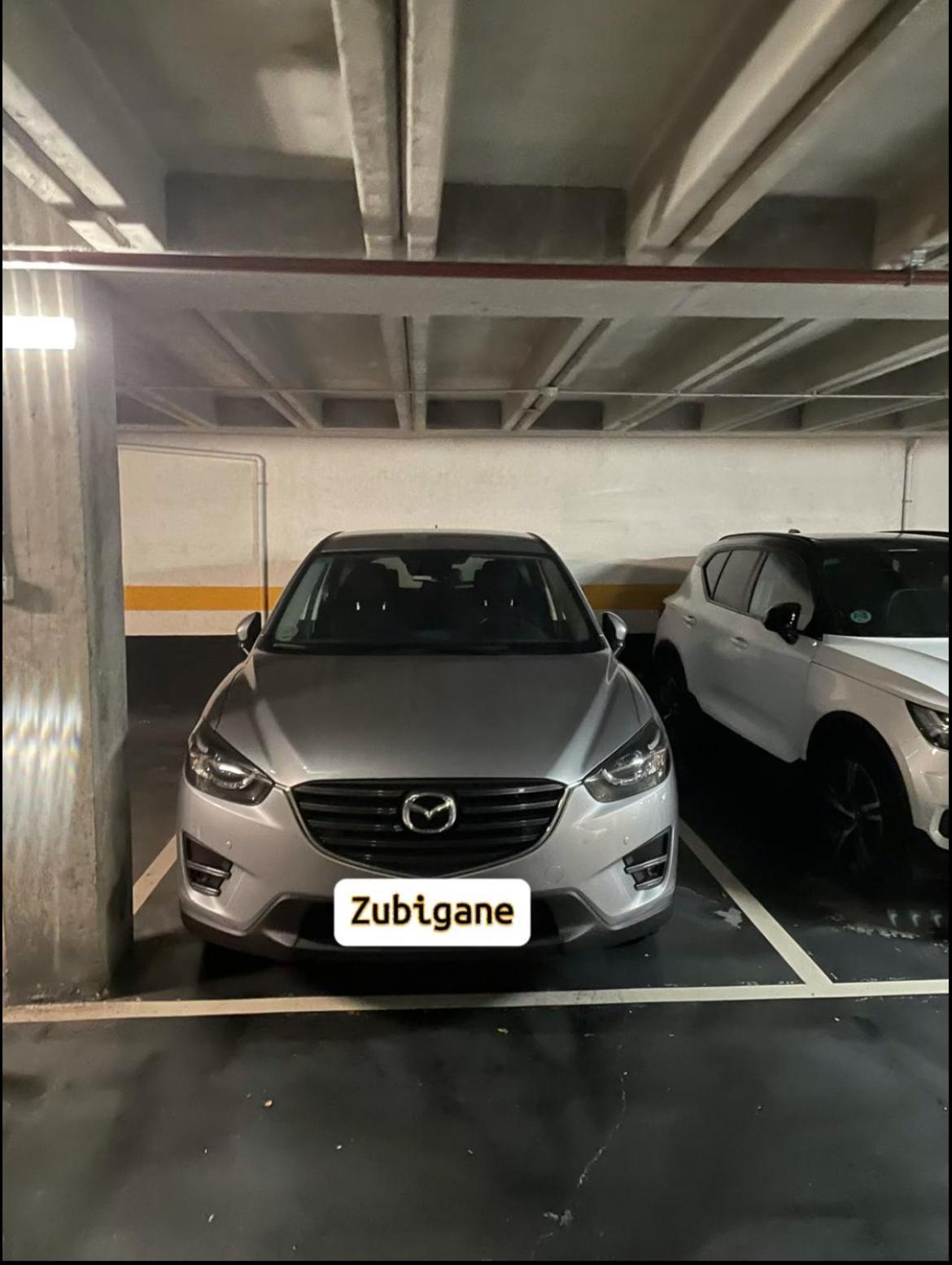 Zubigane Apartamento Junto A La Ria & Parking Bilbao Eksteriør bilde